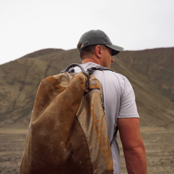 forge tribe disciplines